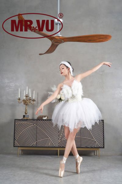 如何選購漂亮的吊扇 QUẠT TRẦN TIMMER 100 (4)